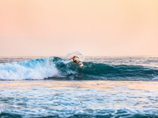 surfing doctors