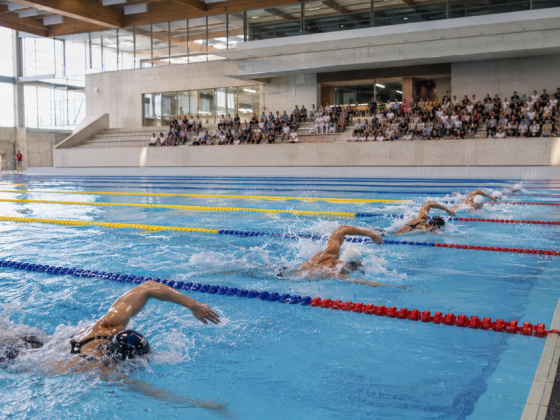 European Aquatics Championships Swimming