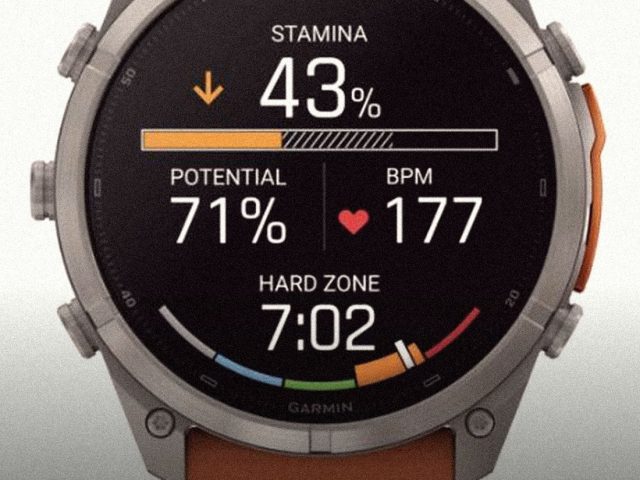 Garmin fēnix smartwatch