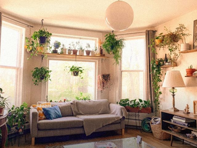 Bright living room full of house plants, best indoor air quality monitors