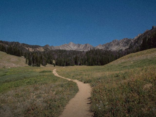 Dirt trail through a mountain meadow, Gaia GPS review