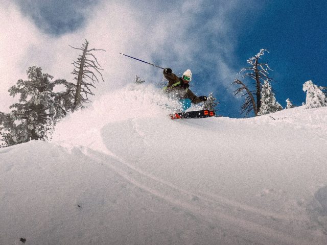 Skier in deep powder among trees, OpenSnow review
