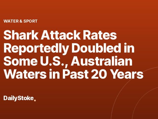 Shark Attack Rates Reportedly Doubled in Some U.S., Australian Waters in Past 20 Years